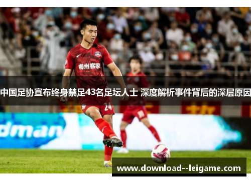中国足协宣布终身禁足43名足坛人士 深度解析事件背后的深层原因 中国足协宣布终身禁足43名足坛人士 深度解析事件背后的深层原因